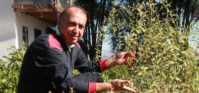 Çorak araziyi tropikal meyve bahçesine çevirdi! İhtiyaç sahiplerine ücretsiz dağıtıyor