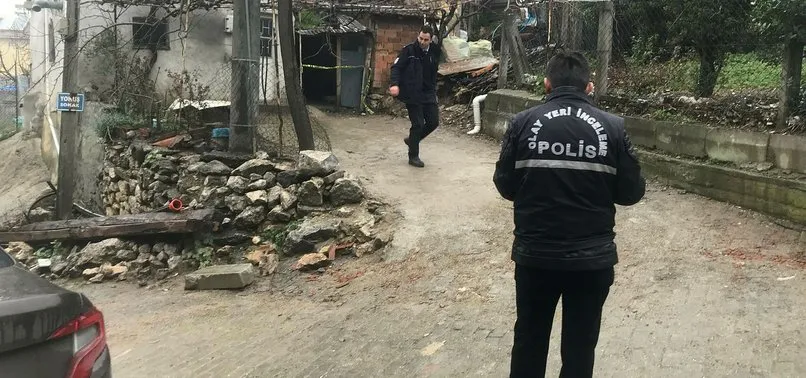 Bursa'da fabrika bekçisini baltayla öldüren sanık, tahliyesini istedi