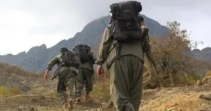 Terörsüz Türkiye yolunda tarihi hafta