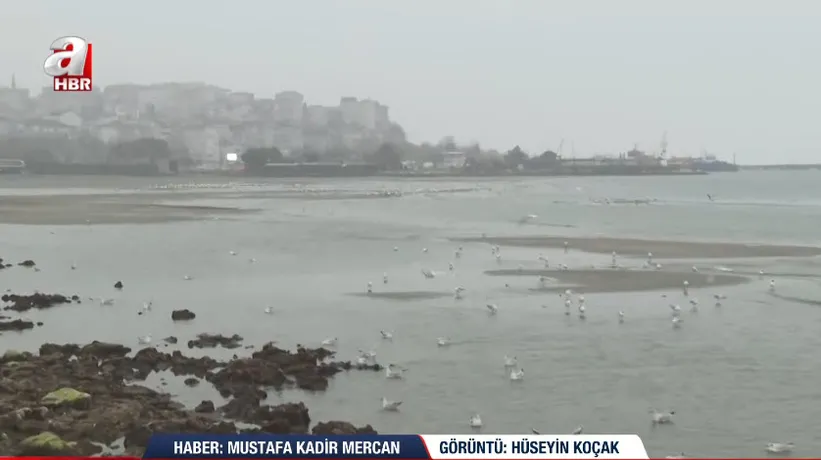 İstanbul’da korkutan manzara: Deniz suyu çekildi! Tsunami riski var mı?