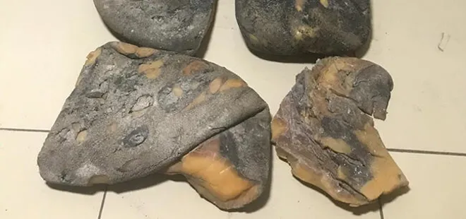 Mersin'de balina kusmuğu operasyonu