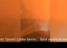 Yangının ortasında ABDli kadının feryadı!