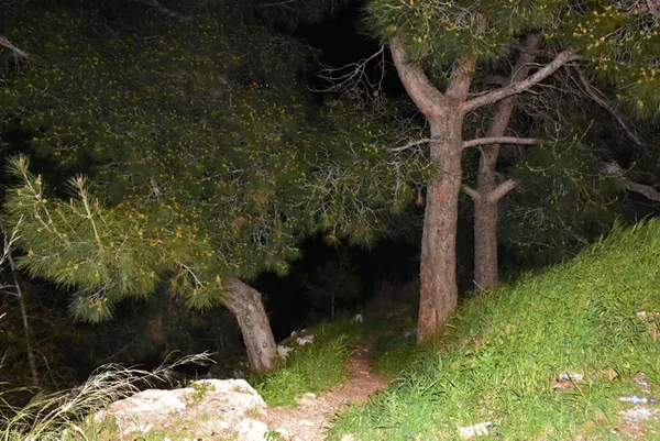 1616737288937.jpg Ekipleri harekete geçirdi! Ormanlık alanda bulundu - 3