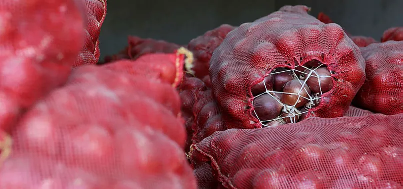 Soğanı depoda stok yapan 45 depoya denetim