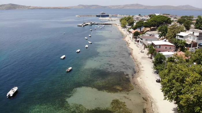 Marmara Denizi'nde müsilaj tehlikesi! Artan sıcaklıklar felaketi tetikleyecek - 1