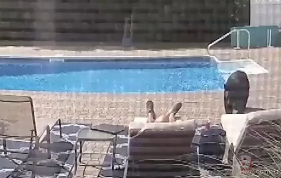 Vahşi doğada ölümcül karşılaşma! Ayı yavrularını… 24