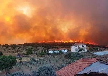 Manisa'daki orman yangını ile ilgili Orman Genel Müdürlüğünden yeni açıklama: Kontrol altına alındı