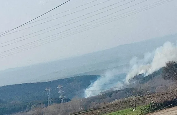 tekirdagda-5-noktada-orman-yangini-100-donumluk-alan-zarar-gordu-1617545077319.jpg Tekirdağ'da 5 noktada orman yangını! 100 dönümlük alan zarar gördü - 2