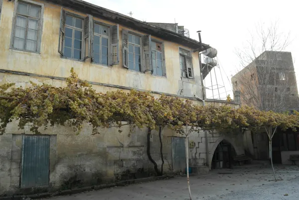 turkiyede-ilk-kez-manisada-uygulandi-eksi-196-derecede-muhafaza-ediliyor-1610086090026.jpg Türkiye'de ilk kez Manisa'da uygulandı! Eksi 196 derecede muhafaza ediliyor - 2
