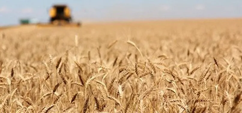 Rusya'dan Türkiye kararı!