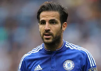 Dick Advocaat Cesc Fabregas’ı istedi