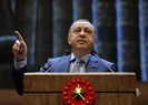 Almanya, Cumhurbaşkanı Erdoğanın hamlesini hazmedemedi