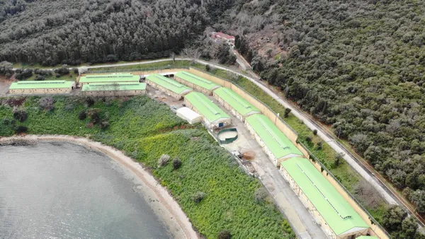 CHP’li İBB Başkanı İmamoğlu’nun bir vaadi daha boş çıktı! ’Sahiplendireceğiz’ dediği atlar ahıra hapsedildi