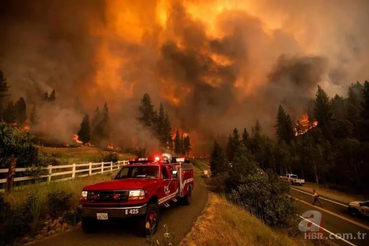 ABD'de dev orman yangını! 85 kilometrekarelik alan alevlere teslim 3