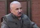 PKK elebaşı da Fincancı’ya sahip çıktı