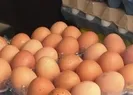 Yumurta fiyatları fırladı!