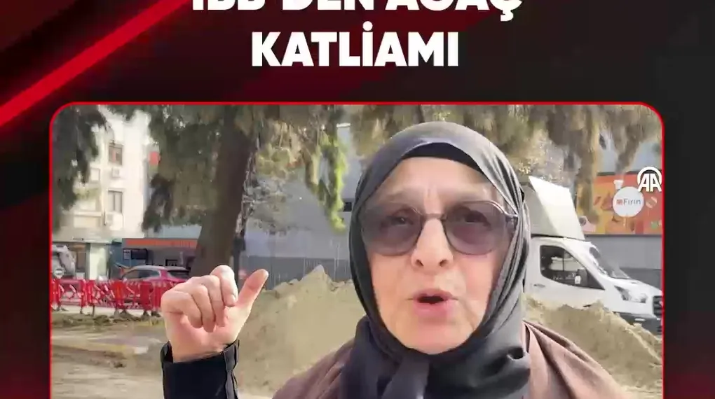 İBB'DEN AĞAÇ KATLİAMI