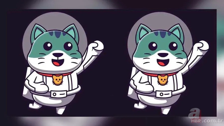 Kedinizin Fotoğraflarında Gizlenen 3 Farkı 10 Saniyede Bulabilir misiniz? 2