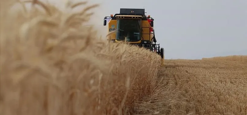 2022-2023 Gübre ve yem fiyatlarına İNDİRİM geldi mi, yüzde kaç? Gübre fiyatları ne kadar, kaç TL oldu?