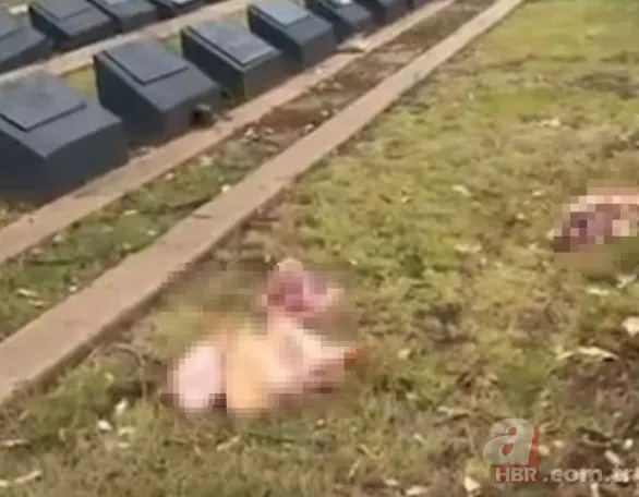 Siyonist propagandaya hizmet eden provokasyon! Sydney'de Müslüman mezarlığına akılalmaz saldırı 6