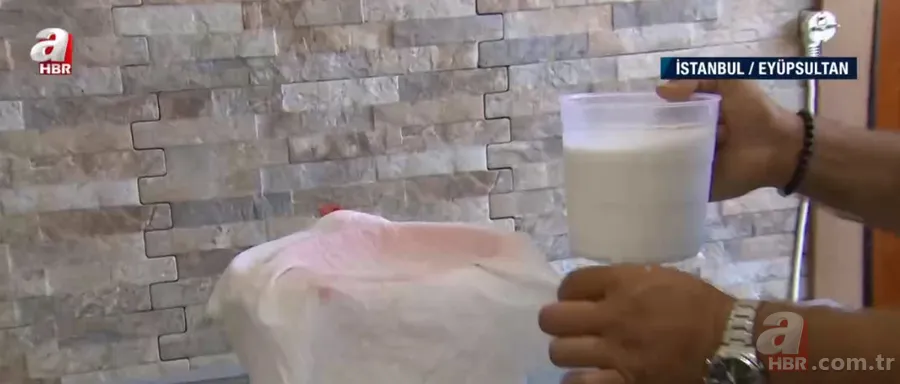 Lezzetli manda yoğurdu nasıl yapılır? | Doğal ortamında manda yoğurdu 4