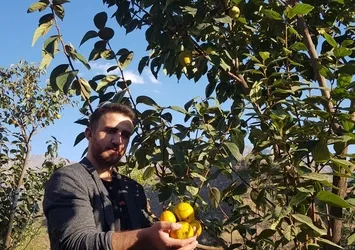Hakkari’de ilginç olay! Armut diye aldığı fidan bakın ne çıktı