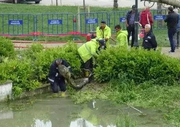 İhmal ölüm getirdi! CHP'li İBB minik Edanur'u suçlu ilan etti | Edanur'un ölümünde fondaş medya yine sessiz