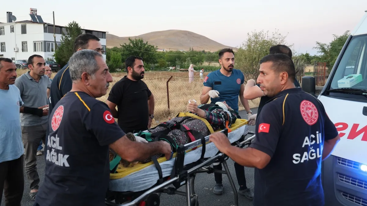 Elazığ’da trafik kazası: 6 kişi yaralandı