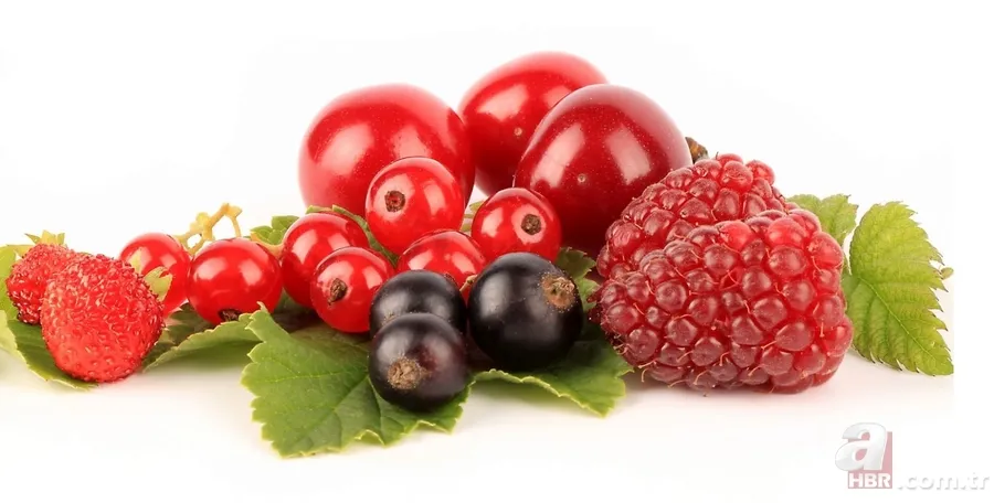 Mor renkte şifa var! Mor ve bordo sebzeler hastalıklarla savaşıyor 12