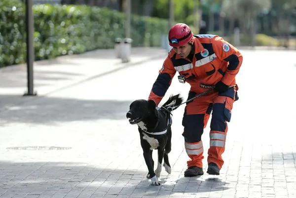 enkazdan-cikartilan-kopek-ekibin-yeni-uyesi-oldu-hayat-baska-hayatlari-kurtaracak-1677056882465.jpg Enkazdan çıkartılan köpek ekibin yeni üyesi oldu! "Hayat" başka hayatları kurtaracak - 4