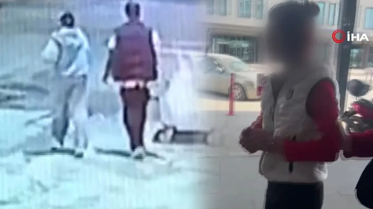 Kediye taşla vuran vicdansız kadın yakalandı! Dikkat çeken kelepçe detayı