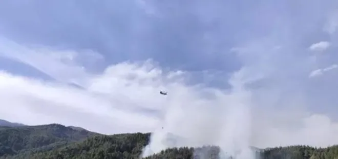 Kahramanmaraş’taki orman yangını kontrol altında! 5,5 hektar alan zarar gördü