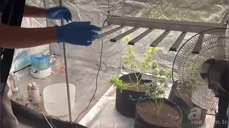 Yatak odasını seraya çevirdi! İfadesi pes dedirtti 7