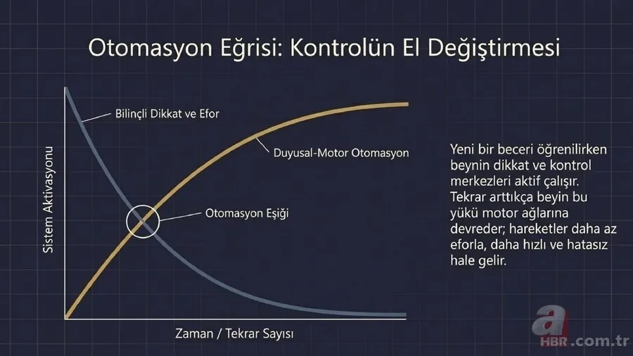 Beynin gizli arşivi: Zihin unutsa bile vücut hatırlıyor! Kas hafızası nedir? 6