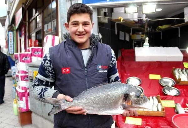 Karadeniz'e kaçan çupra şaşırttı - 1