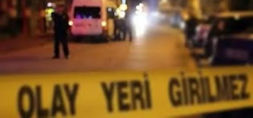 Van Da Cikan Kavgada 7 Kisi Yaralandi