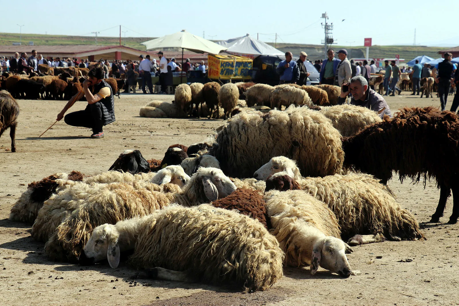 Bayram tatili hangi günler? 2022 Kurban Bayramı tatili ne zaman başlıyor, bitiyor? Kaç gün tatil yapılacak?