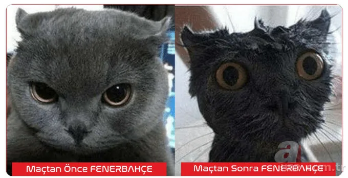 Fenerbahçe yine kazanamadı! Capsler patladı... 9