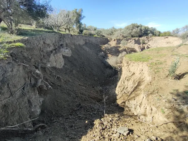 1678518859015.jpg Dev yarıklar ağaçları yuttu! Asrın felaketinin boyutu böyle görüntülendi - 1