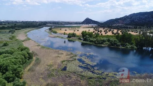 Antalya'nın içme suyunu karşılıyor! Kırkgöz'den çıkanlar şoke etti: Halıdan lastiğe... 5