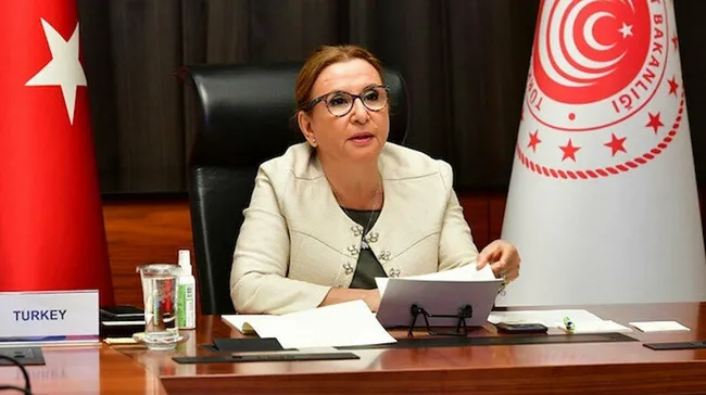 Ticaret Bakanı Pekcan: Fahiş fiyat nedeniyle 375 firmaya 11 milyon 855 bin lira ceza kesildi - 1