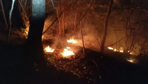 Karadeniz'de peş peşe yangın çıktı! 4 ilde 23 noktada alevler yükseldi - 1