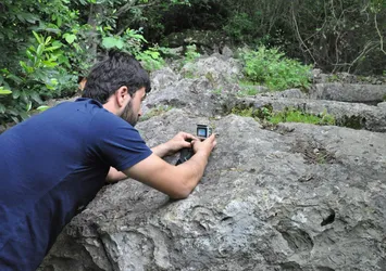 Engerek yılanının doğa fotoğrafçısına saldırısı kameraya yansıdı