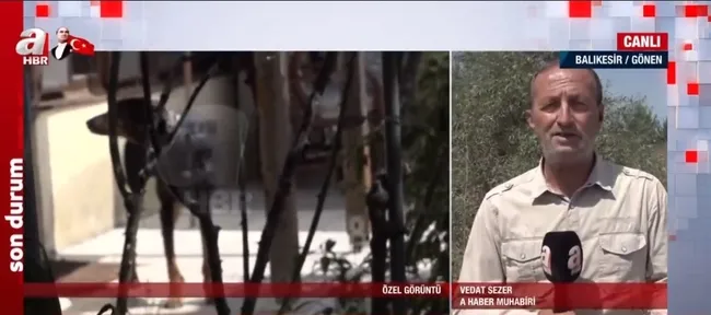 Doberman cinsi eğitimli köpek Tina eve döndü! Kayıp ekonomist Berzeg’in köpeğini A Haber görüntüledi