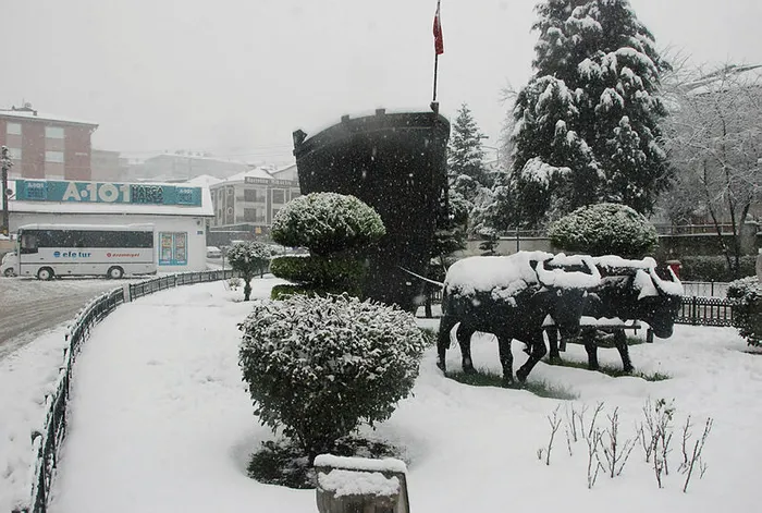 Bartın’da kar kalınlığı 78 santimetreye ulaştı - 4