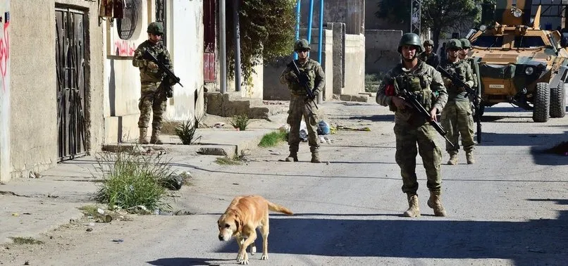 Milli Savunma Bakanlığı: Komandolarımız 923 EYP ve 337 mayın etkisiz hale getirdi