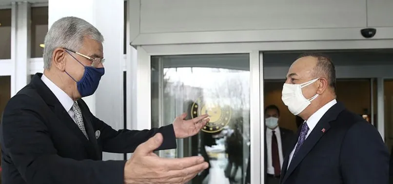 Dışişleri Bakanı Mevlüt Çavuşoğlu, BM 75. Genel Kurul Başkanı Bozkır'la görüştü