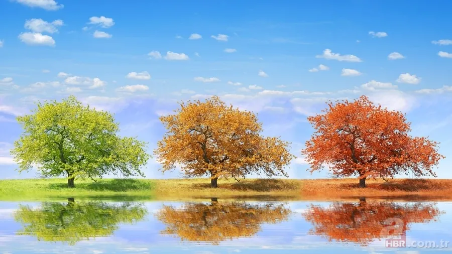 Dünya’nın mevsim haritası yenilendi: Uyumsuzluk sanıldığından büyük 3