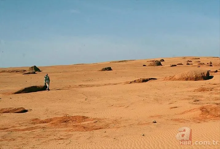 Ebu Cehil Kimdir? Nasıl bir hayat yaşamıştır? Ne zaman, nasıl öldü? Peygamber Efendimizin "Ebu Cehil'in hurma ağacı" sözü ne demek? 9