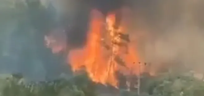 Dehşete düşüren görüntüler! Saniyeler içinde alevler etrafı sardı